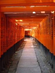 Fushimi Inari Taisha, Kyoto 32_Stephen Varady Photo ©