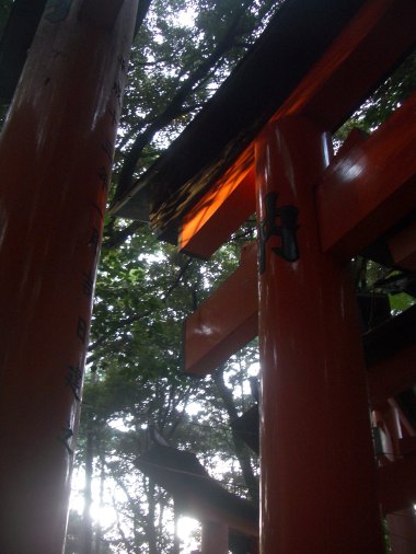 Fushimi Inari Taisha, Kyoto 40_Stephen Varady Photo ©